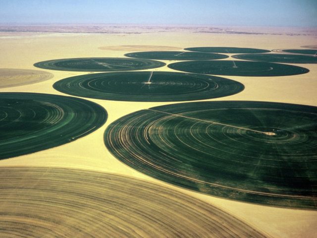 Irrigation-Kufra-Growing-Sahara-Africa-1