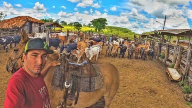 carlos_zordan__videos_na_internet_fazem_sucesso-3214635