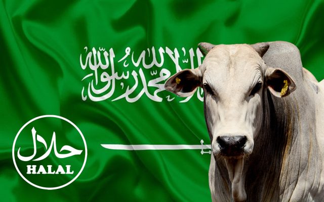 carne halal