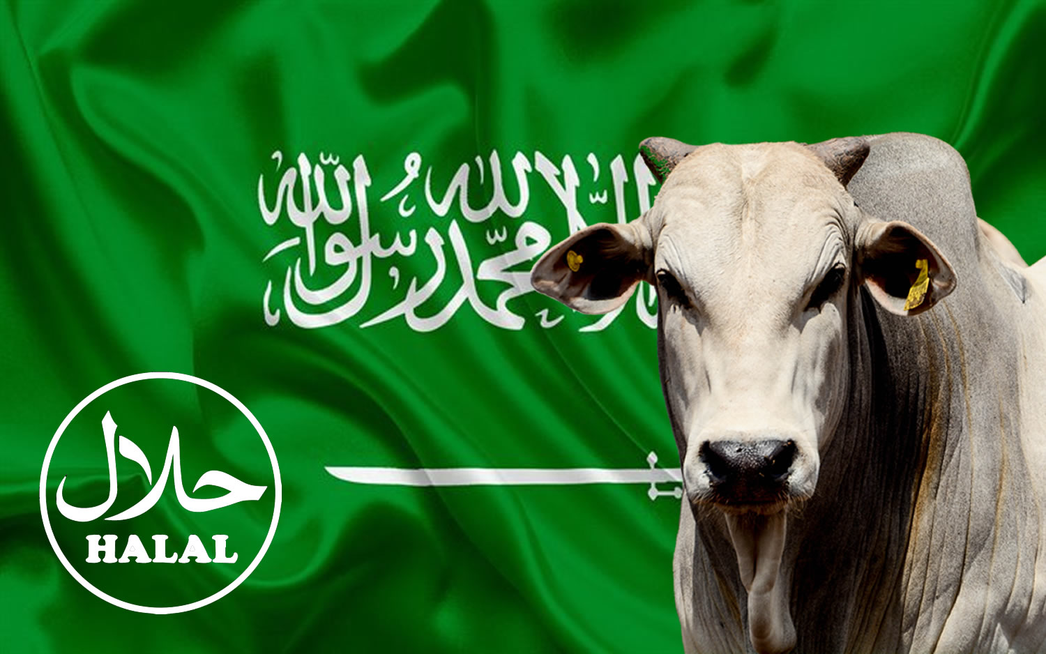 Árabes procuram fornecedores de carne no Brasil - Compre Rural