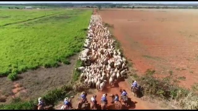 Agropecuária Grande Lago