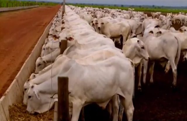 FAZENDA-CONFORTO