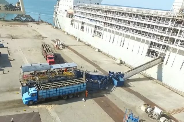 maior embarque de bovinos vivos