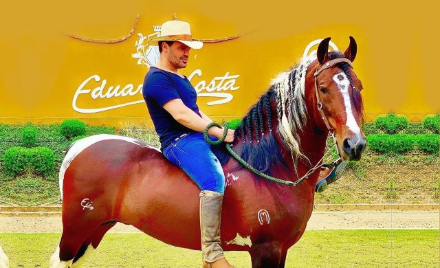 eduardo costa cavalo mangalarga marchador eduardo costa cavalo mangalarga marchador