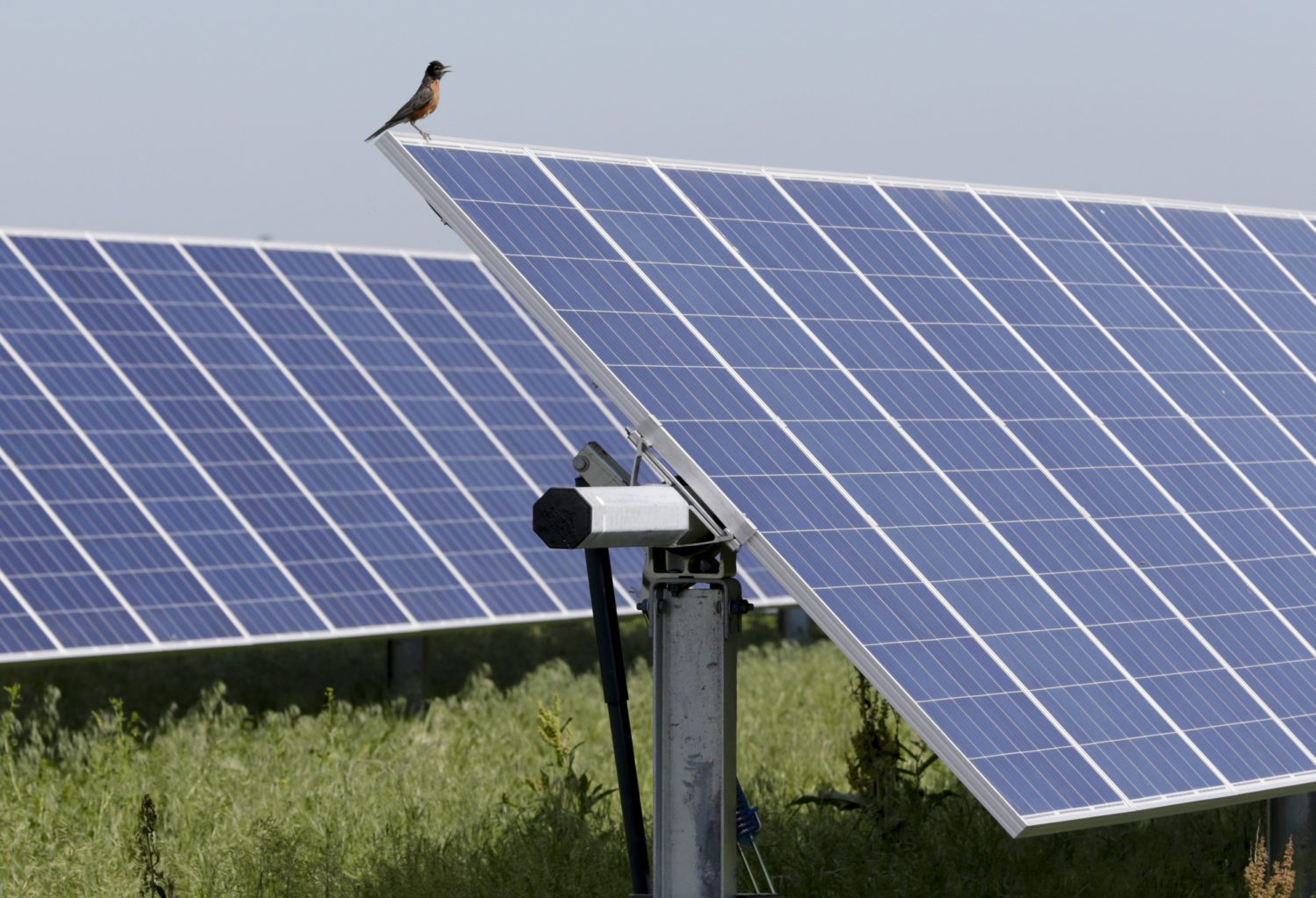 energia solar no campo