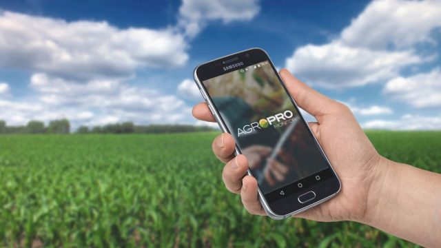 hand-smartphone