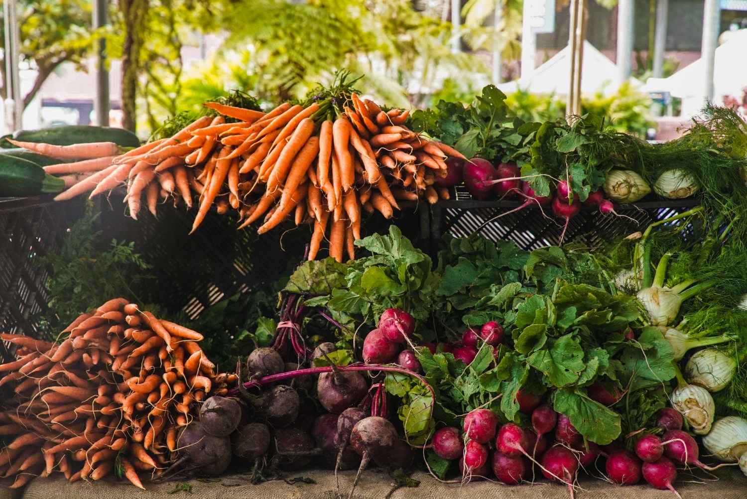 vegetais frutas e verduras