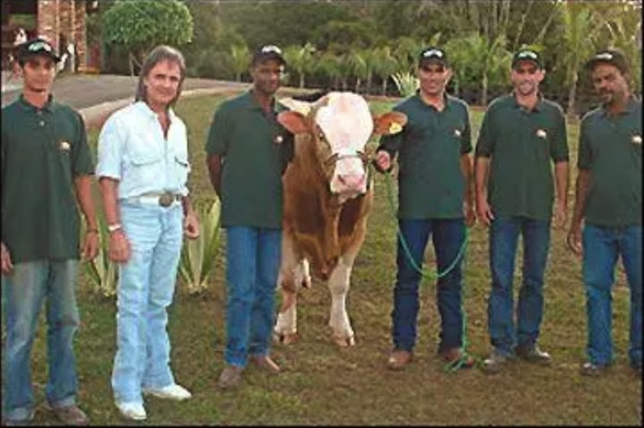Quantas cabeças de gado Roberto Carlos tem?