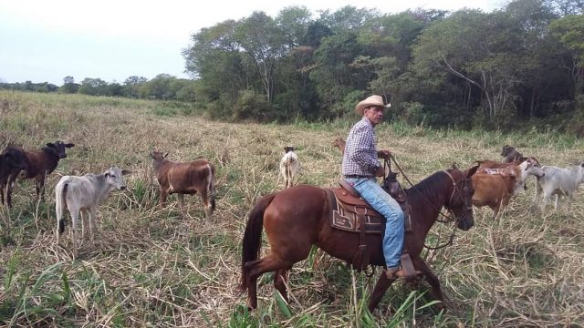 rodrigo-cowboy-ex-bbb-2