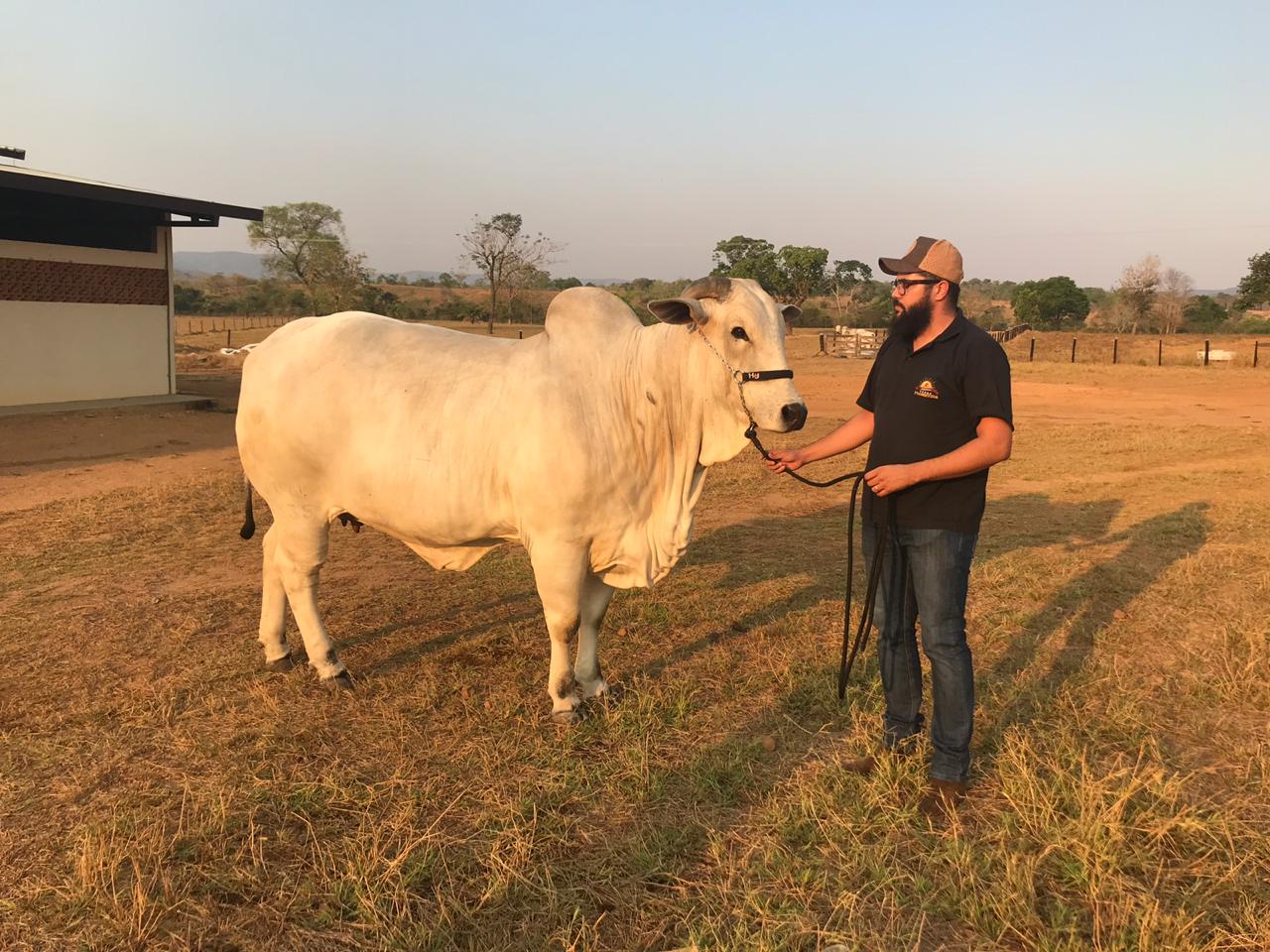 Fazenda Terra Prometida