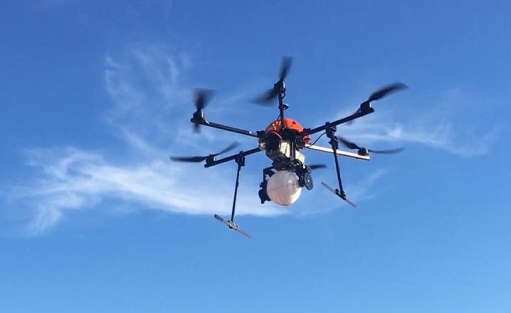 Agentes vivos são liberados via drone nas lavouras