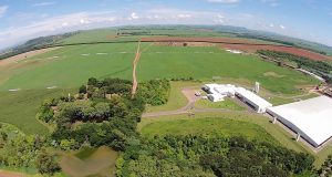 Fazenda-Colorado-mantem-titulo-de-maior-produtora-de-leite-do-Brasil