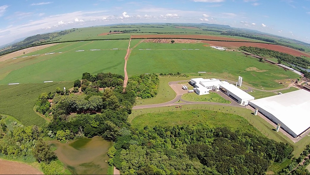 Fazenda-Colorado-mantem-titulo-de-maior-produtora-de-leite-do-Brasil