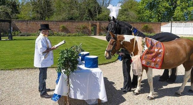 casamento cavalos