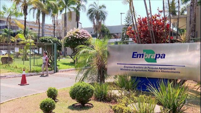 escritorio da embrapa escritorio da embrapa