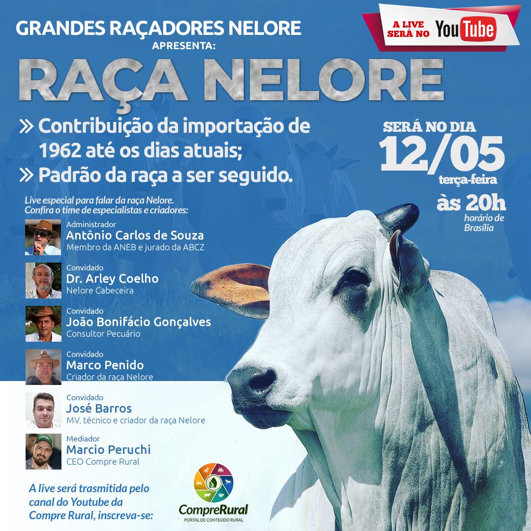 grandes racadores nelore - live nelore