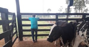 renegociação de dívidas