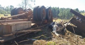 Caminhoneiro morre após capotar caminhão com gado