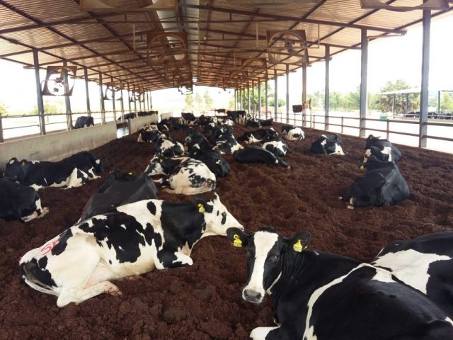 Compost Barn