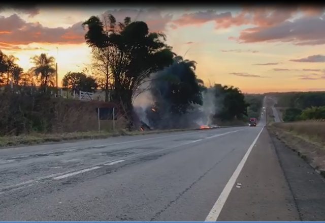 fazendeiro coloca fogo em mata