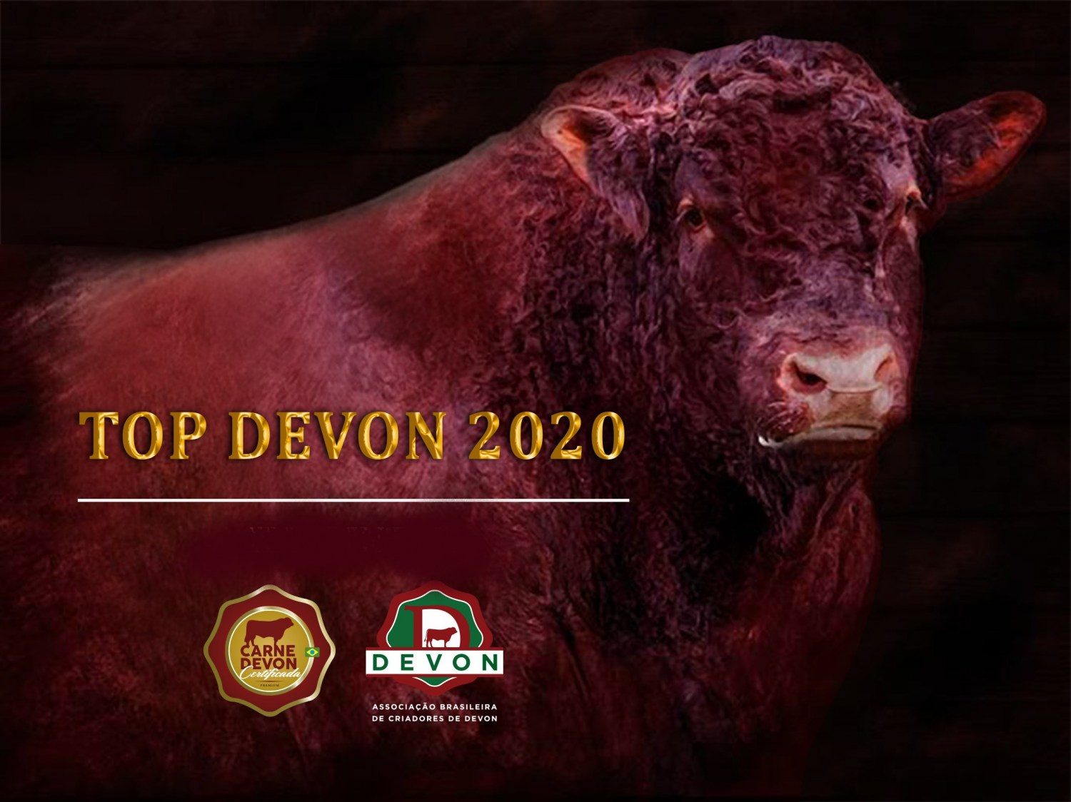 TOP Devon2020