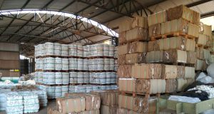 UPL-Projeto-recolhe-200-toneladas-de-embalagens-vazias-de-defensivos-e-distribui-mudas-a-agricultores