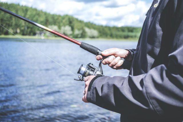 activity-adult-bait-blur-294674
