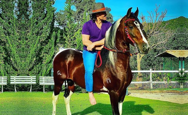 cavalo marngalarga marchador baruk - eduardo costa cavalo marngalarga marchador baruk - eduardo costa