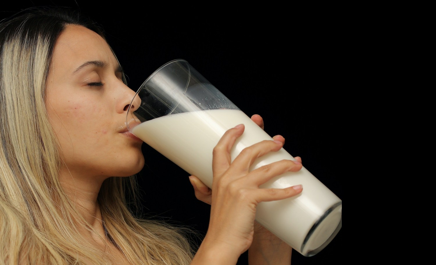 dia mundial do leite