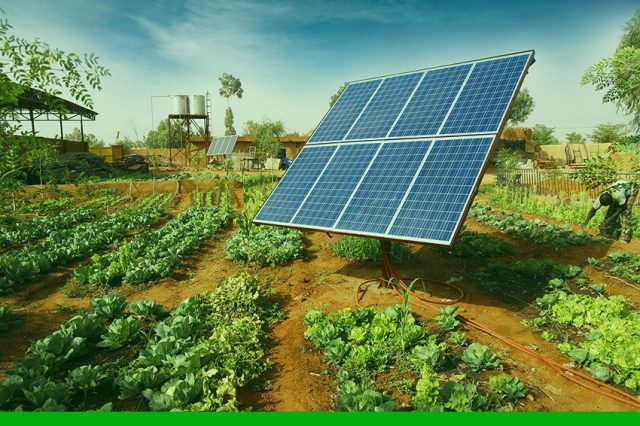 energia-solar-fotovoltaica-no-campo-facilita-pronaf