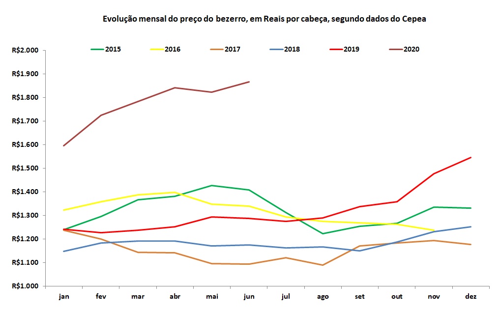 evolucao mensal de bezerros