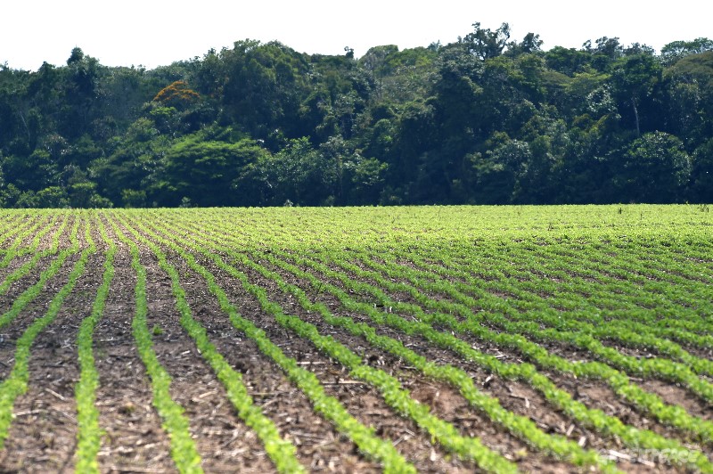 moratória-da-soja regularização fundiária