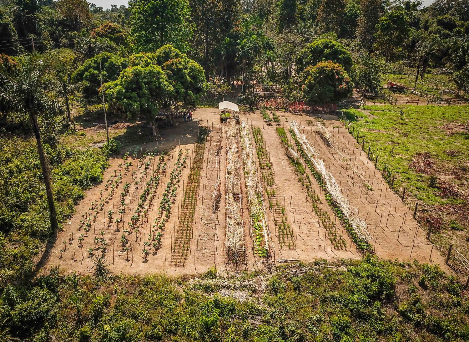 o que é AGROFLORESTA