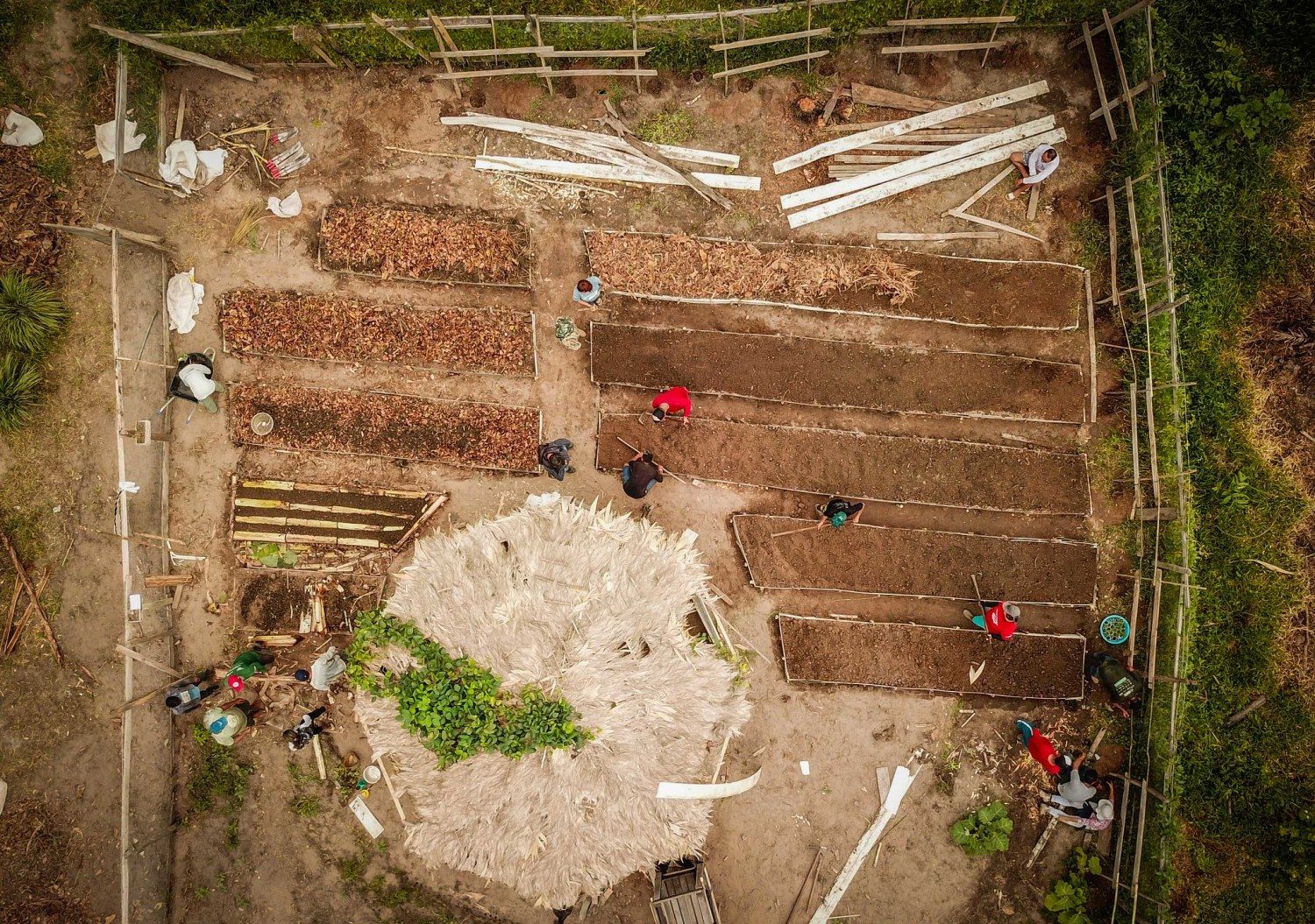 o que é AGROFLORESTA