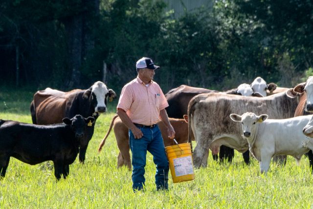 200416-country-of-origin-labeling-meat-labeling-food-safety-pandemic-coronavirus-covid-19-3-usda