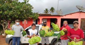 Ajuda à agricultura familiar é aprovada na Câmara