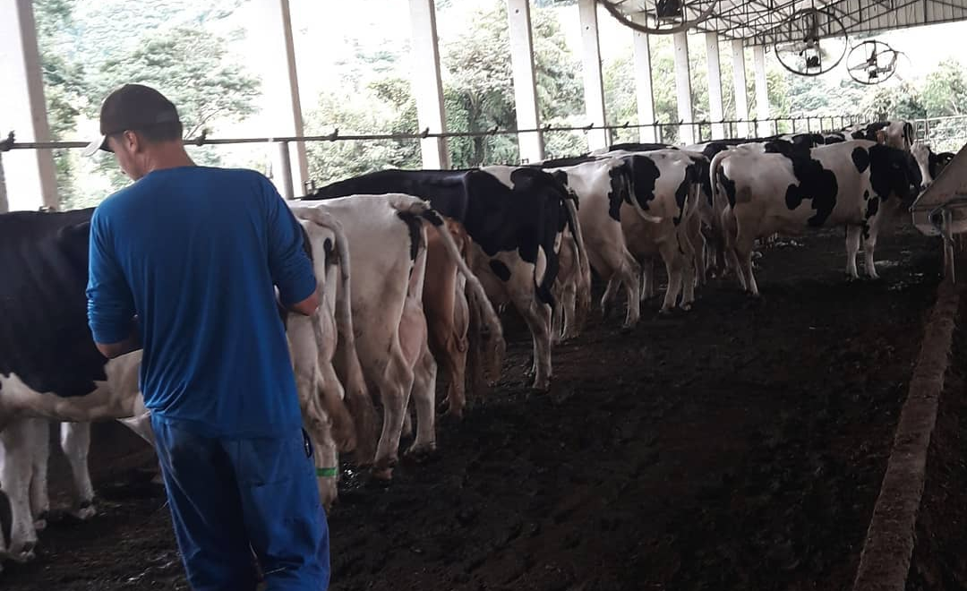 Bancada ruralista pede apoio do governo ao setor leiteiro
