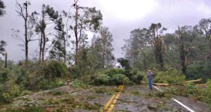 Ciclone bomba causa devastação no sul do país