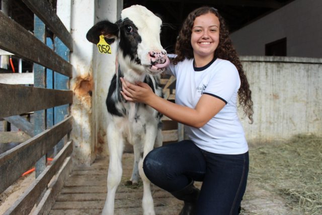 Fundação Roge Curso Técnico em Agropecuária focado na bovinocultura