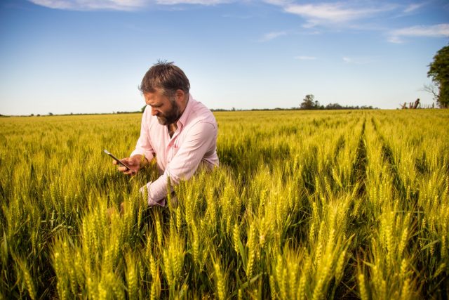 SIma Chega ao Brasil app que coleta e análise de dados da lavoura SIma Chega ao Brasil app que coleta e análise de dados da lavoura