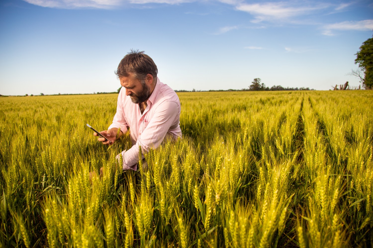 SIma Chega ao Brasil app que coleta e análise de dados da lavoura