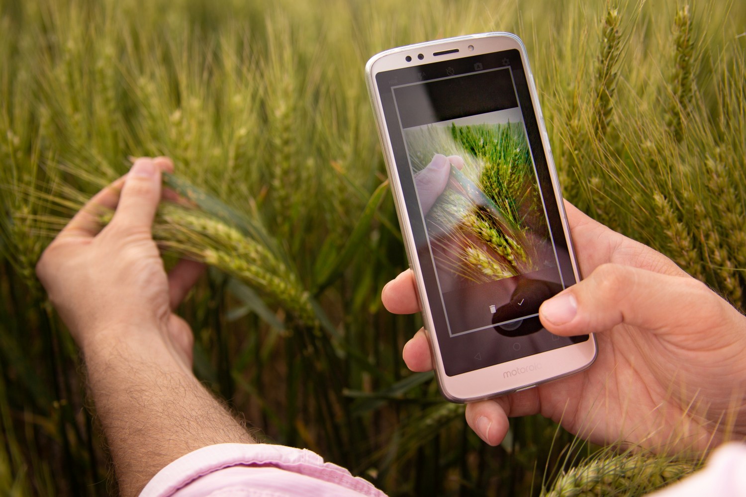 SIma Chega ao Brasil app que coleta e análise de dados da lavoura