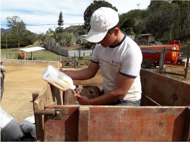 Técnico em agropecuária