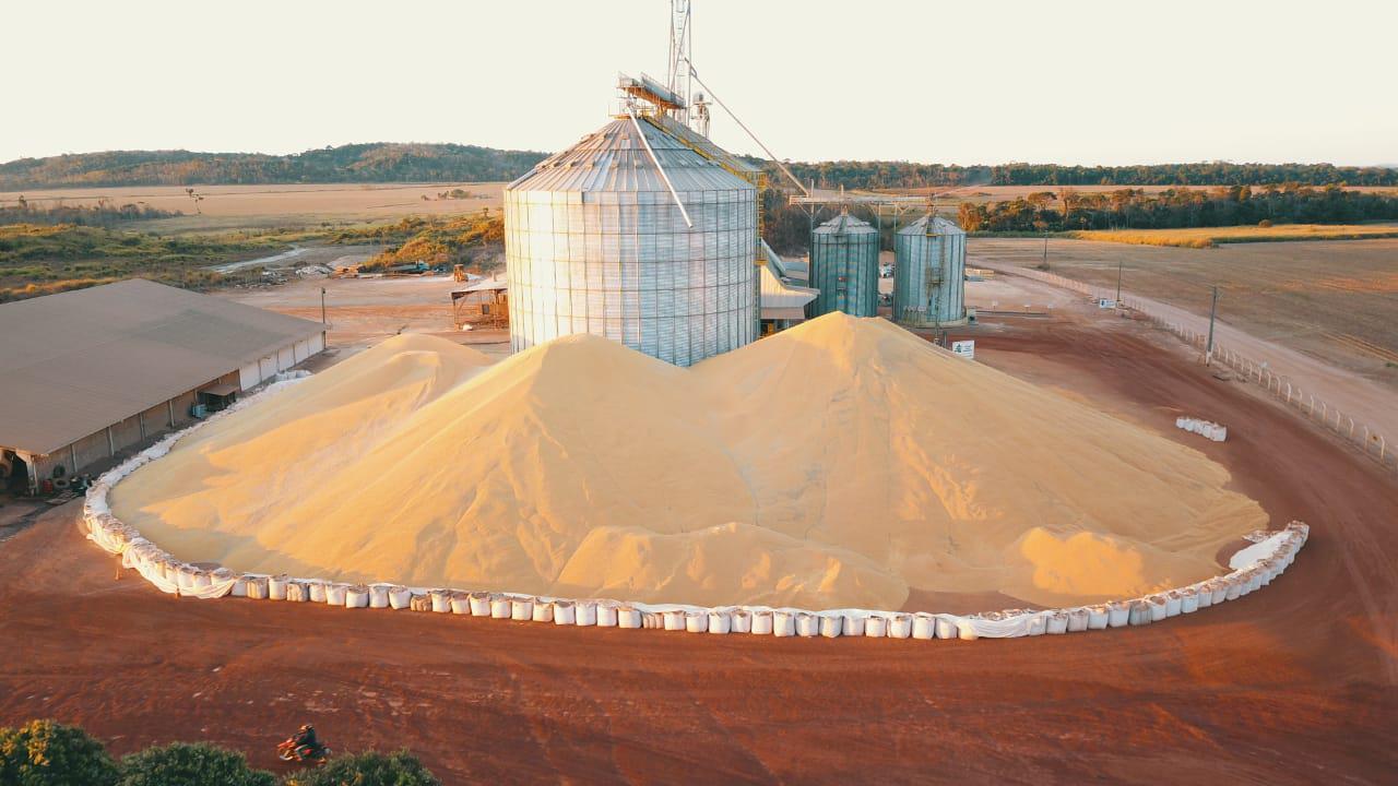 fazenda tem 230 mil sacas de milho a céu aberto em MT