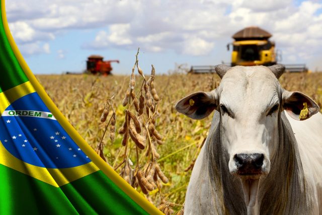 agropecuária evolução