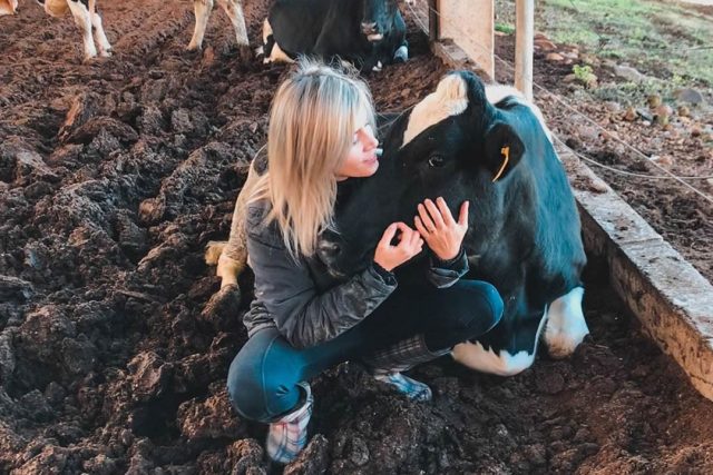 amor pela pecuaria leiteira amor pela pecuaria leiteira