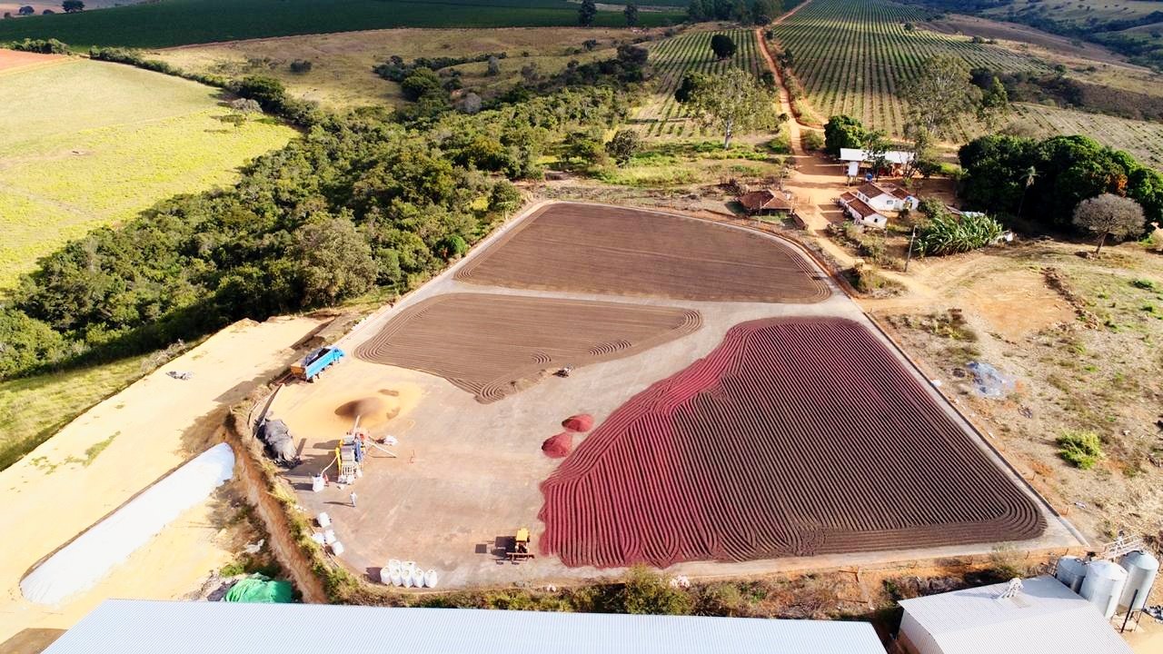 cafe no terreirão em Carmo Do Paranaíba - Minas Gerais 1