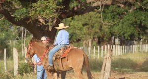 campeiro vaqueiro no cavalo