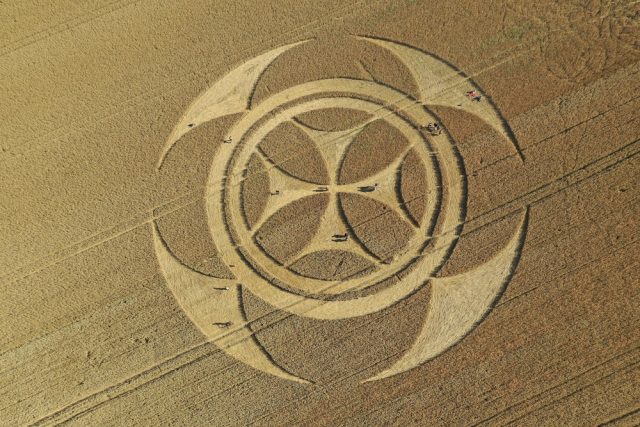 campo de trigo na franca 1
