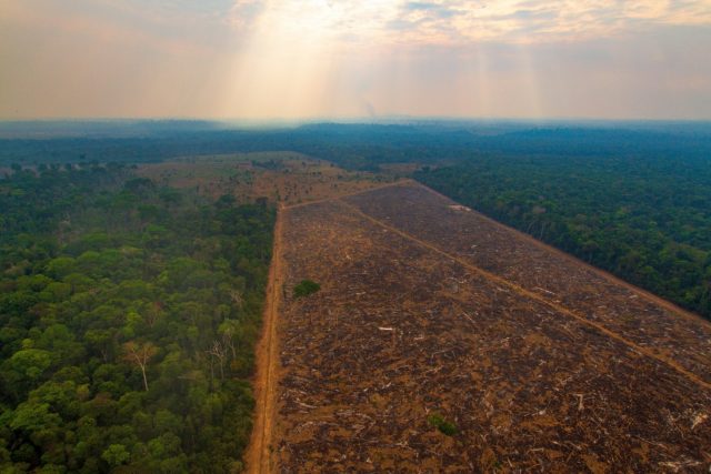 desmatamento-amazonia-1583883706 desmatamento-amazonia-1583883706